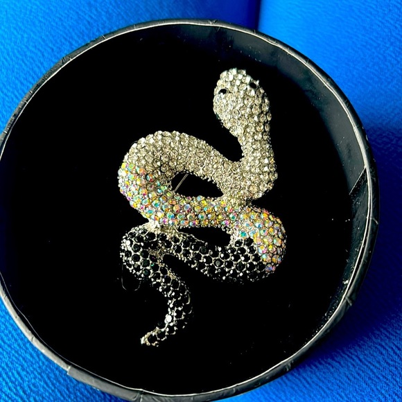 Natasha Couture Jewelry - Natasha Pave Crystal Snake Brooch